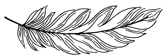 Feather divider icon – symbolic of strength and guidance