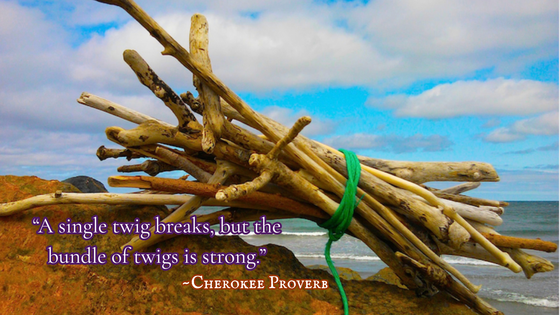 Bundle of twigs tied together with green cord—symbolizing strength in unity
